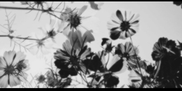 Haleyjustinee's profile banner image
