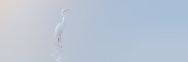 00MrWilson00 Profile Banner