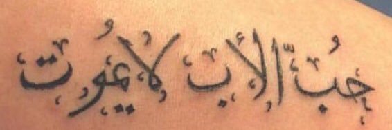 alamjad_r's profile banner image