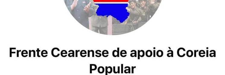 (quase)nada nesse perfil é verdade banner