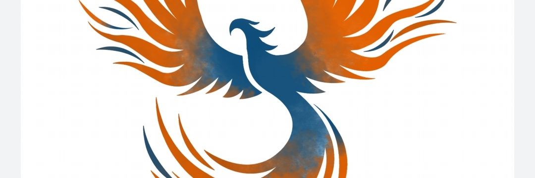nellisoncounsel's profile banner image