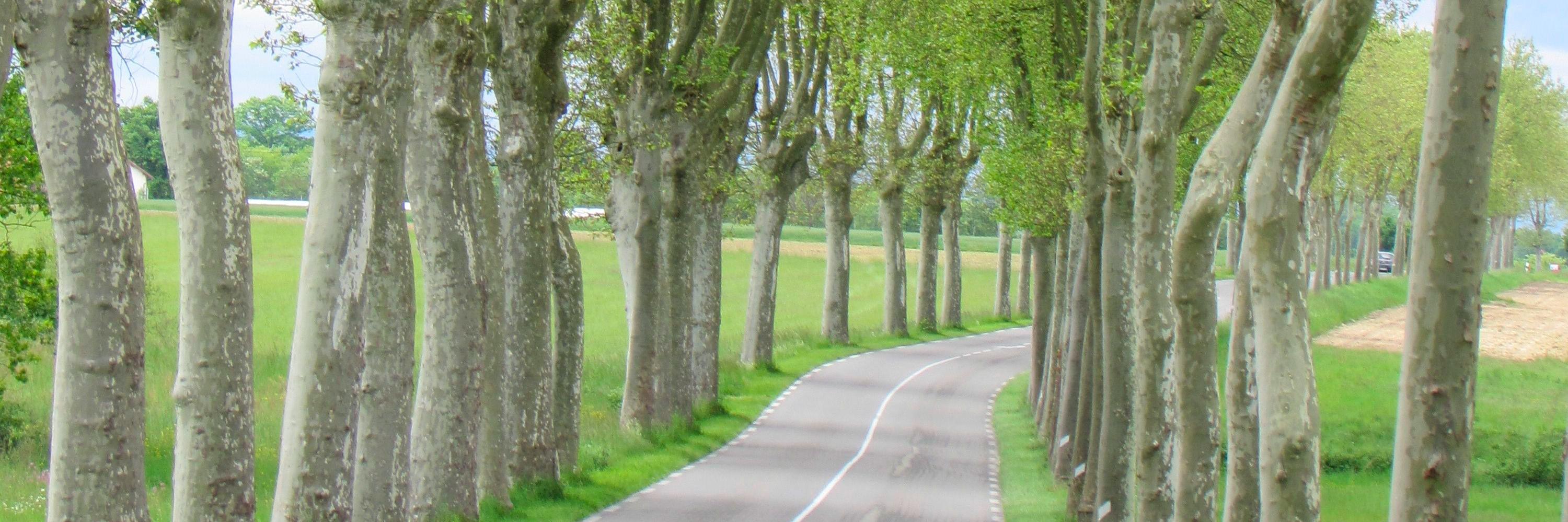 thewideopenroad's profile banner image