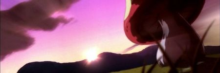 ゼロスタ 🐦🌻🩵 banner