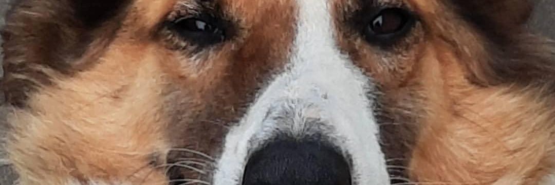 facusaky's profile banner image