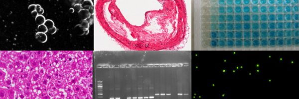 ScienceHelen Profile Banner