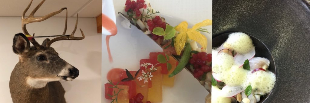chefsisca8's profile banner image
