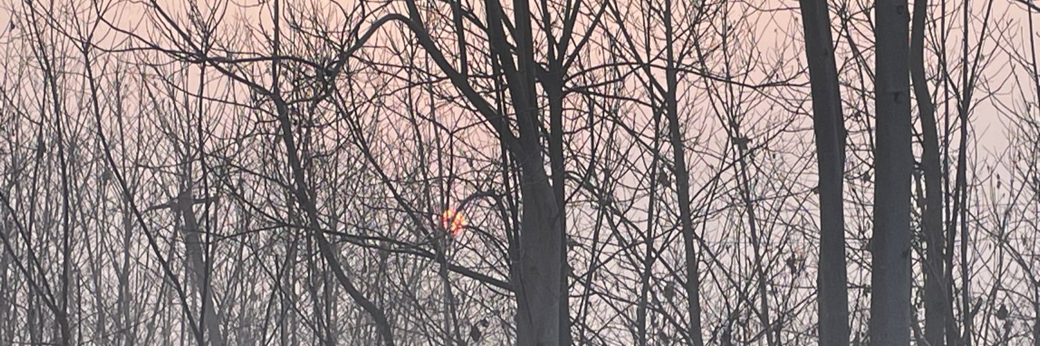 岛- banner