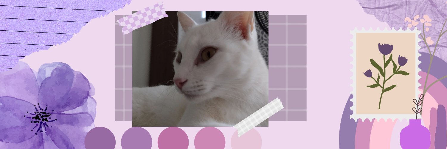 bnkw_c's profile banner image