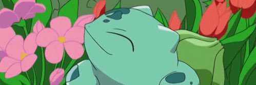 chippunks's profile banner image