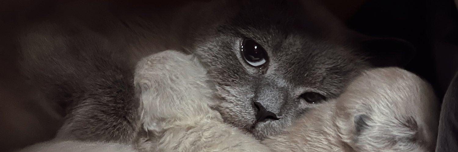 quennierosee's profile banner image