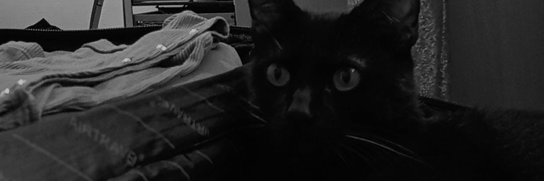vickymenaa's profile banner image