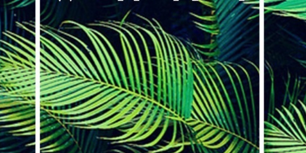 kochykoch's profile banner image