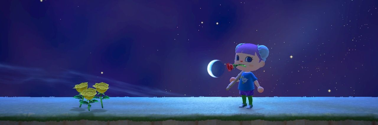 moesuke1101's profile banner image