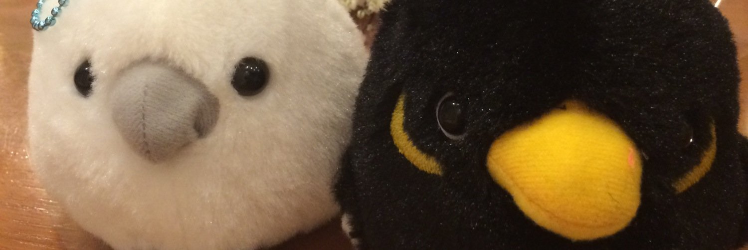 isoflatone's profile banner image