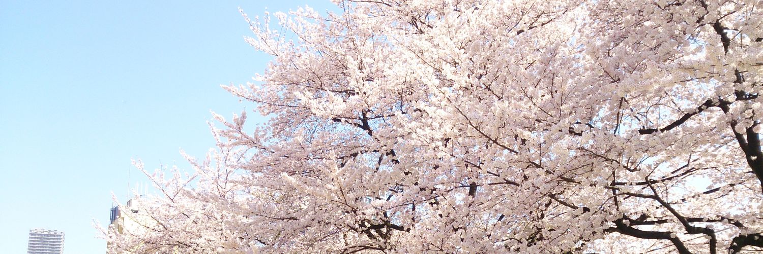 kuroneko211's profile banner image