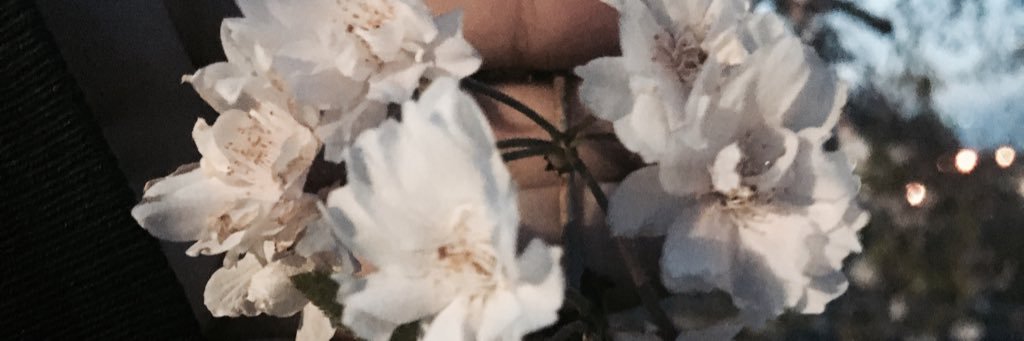 c_eresas's profile banner image
