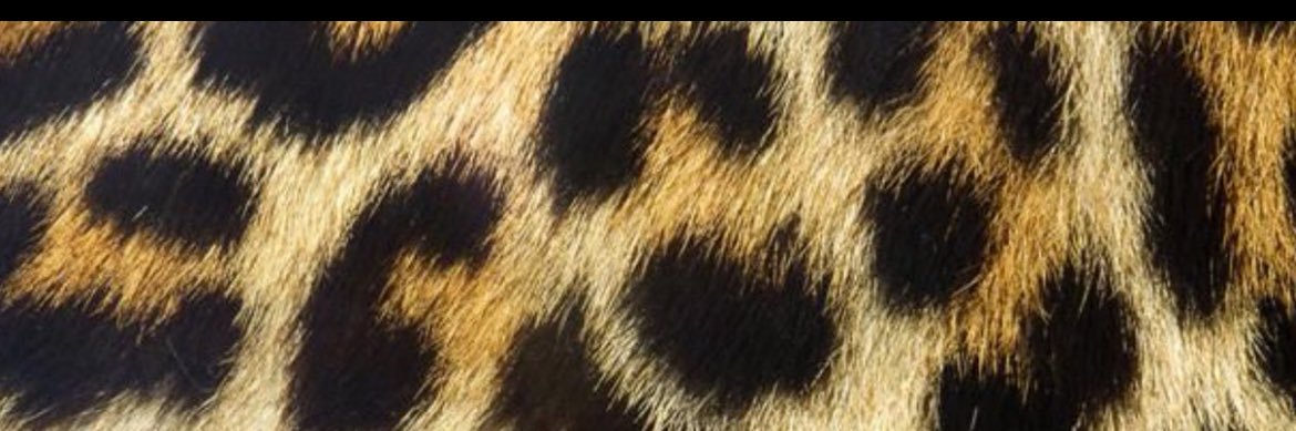 🌸. banner