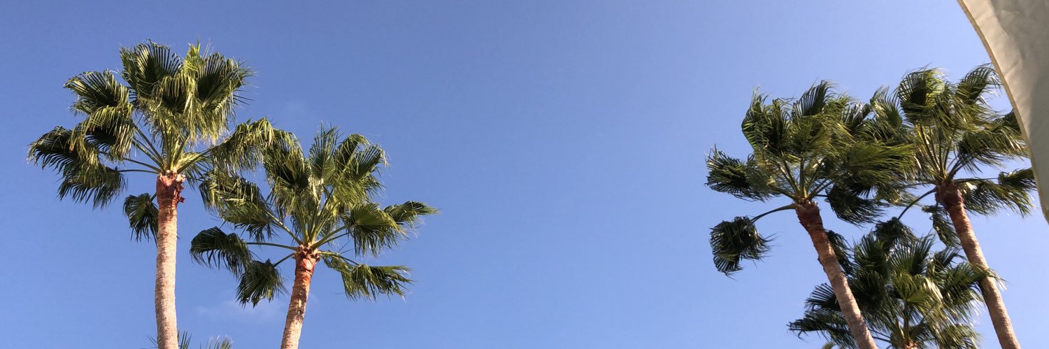 PinkDai65555476's profile banner image