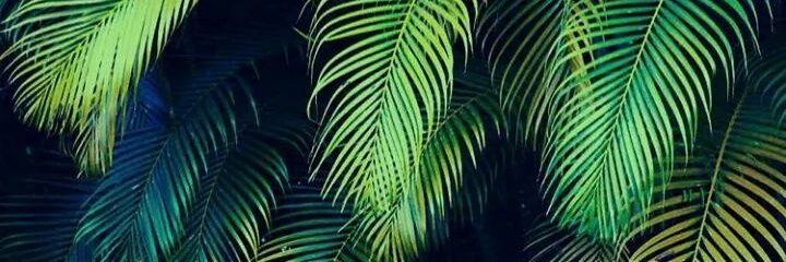 riksonxx's profile banner image