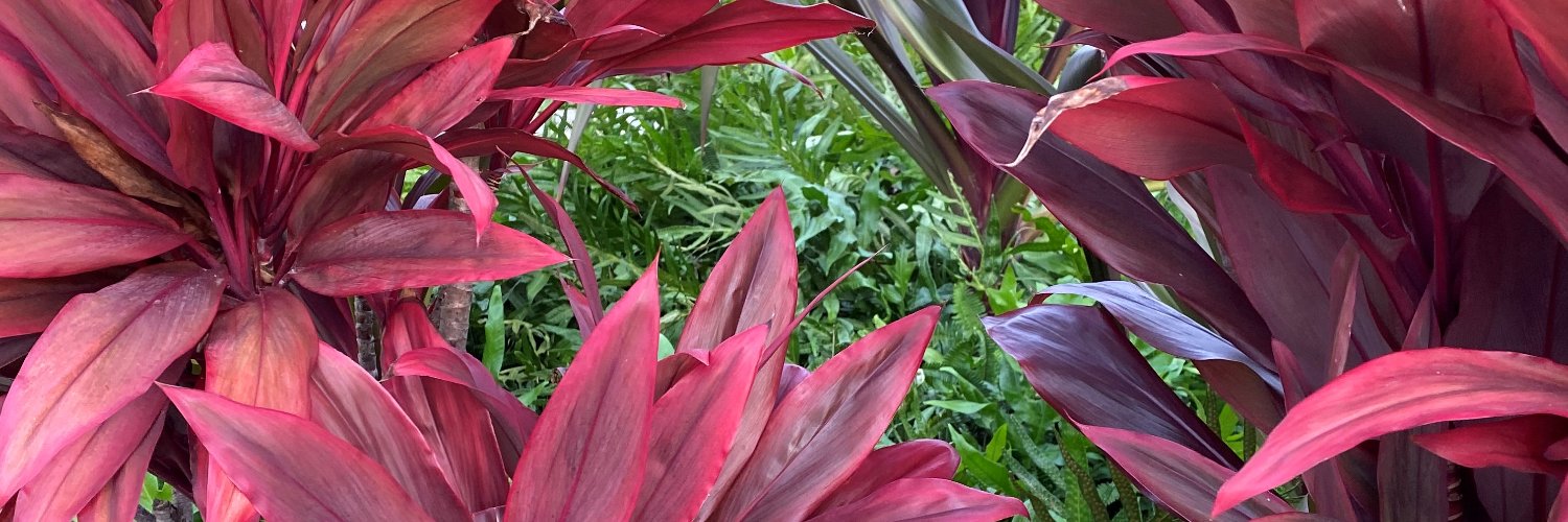 KenHopperMD,MBA,ACC banner