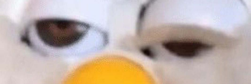 bisborria's profile banner image