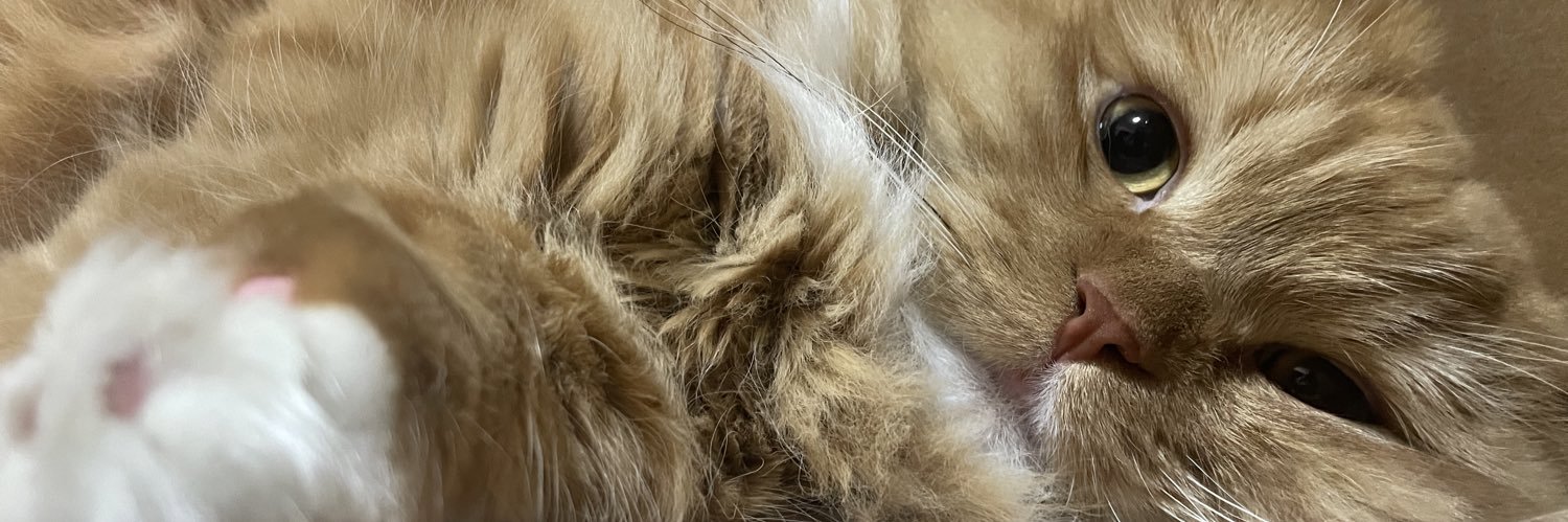 へっぽこちゃん banner