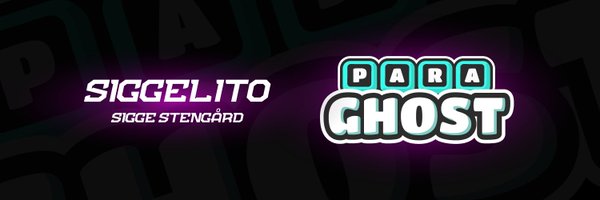 siggelitoCS Profile Banner