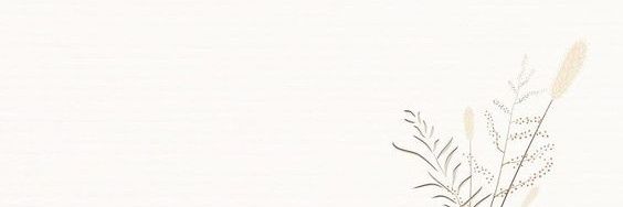ixguran's profile banner image