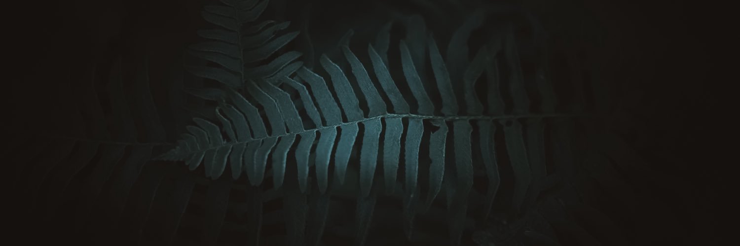 𝗘𝘃𝗲𝘆's banner