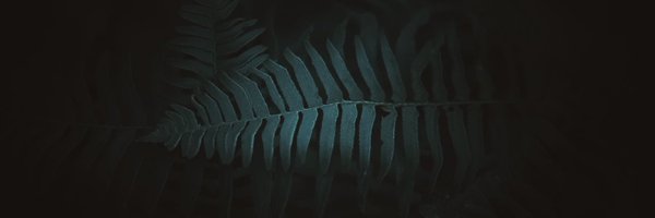 wistfulembrace Profile Banner