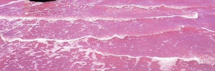 phenomene_221's profile banner image