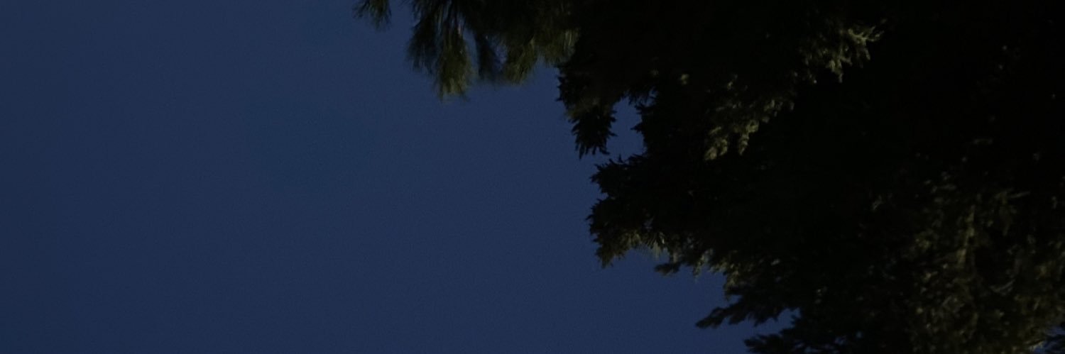 Fidan216's profile banner image