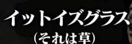 kikusanですのん/基本ゲームは下手です（笑） banner