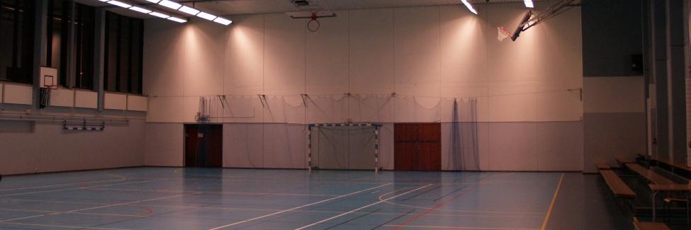 HK Silwing/Troja banner