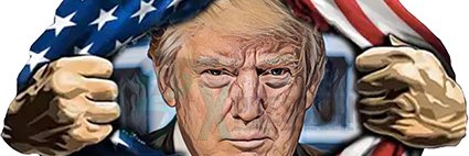 Nila Ingram #MAGA #TRUMP2028 banner