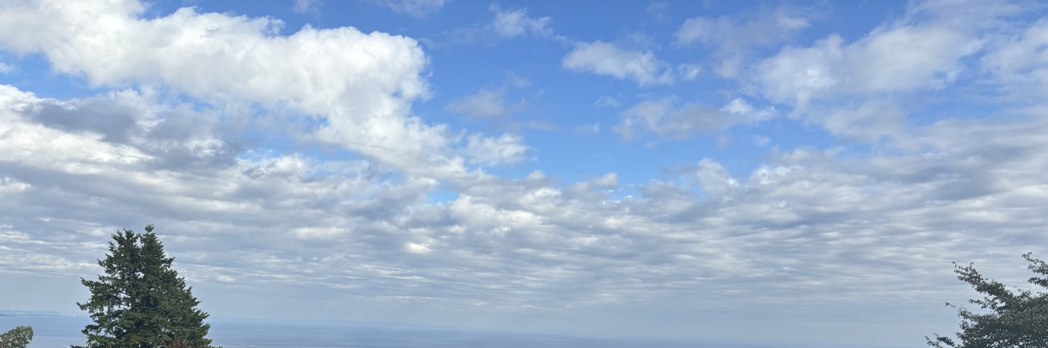 MikasonoMi's profile banner image