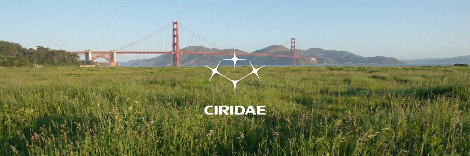 Ciridae banner