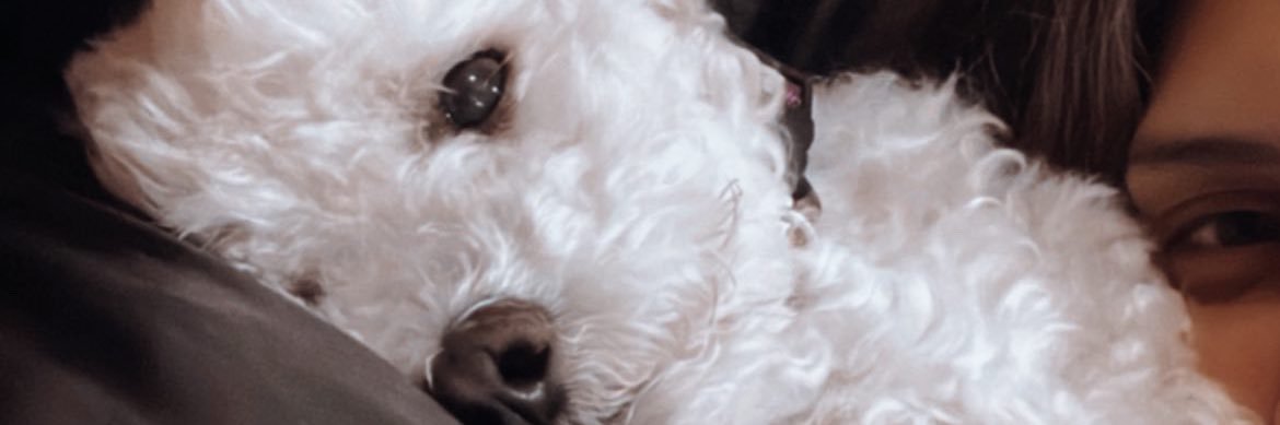 LauraTomisani's profile banner image