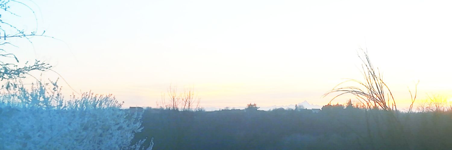 TheDaniel banner