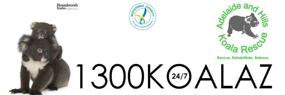 1300KOALAZ banner