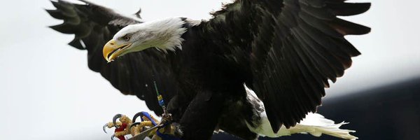 EagleTweets2 Profile Banner