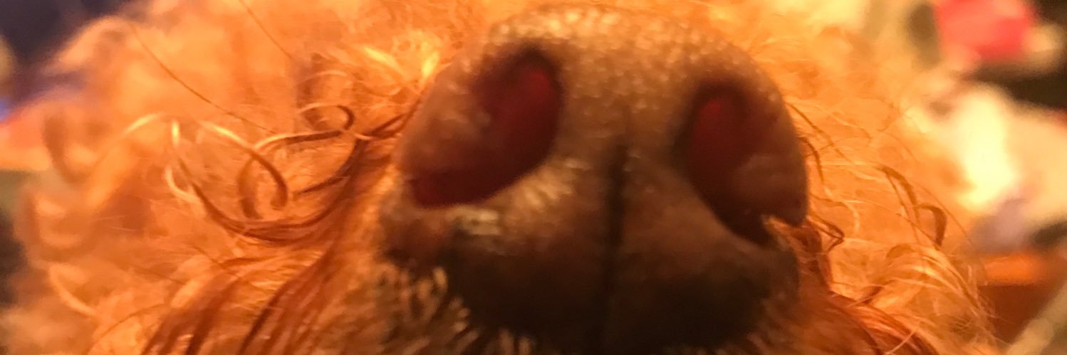 TA1SK8's profile banner image