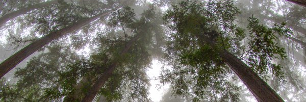 SCNaturalist Profile Banner