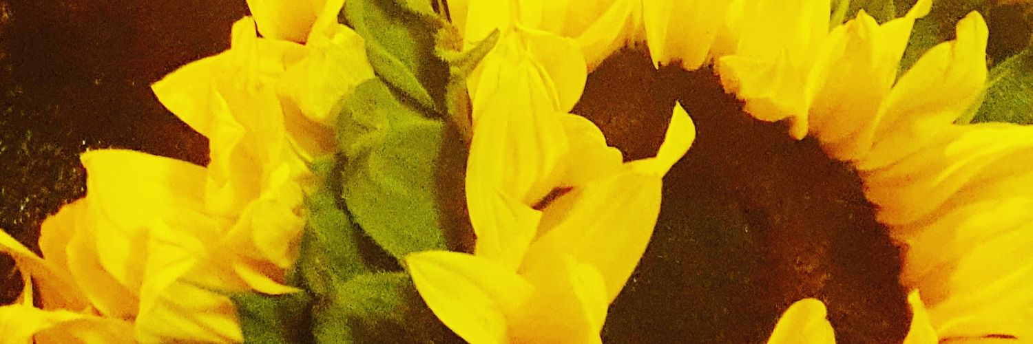 _*𝓑𝓻𝓲𝓼𝓼𝓪 𝓟𝓵𝓪𝓼𝓬𝓮𝓷𝓬𝓲𝓪*_ banner