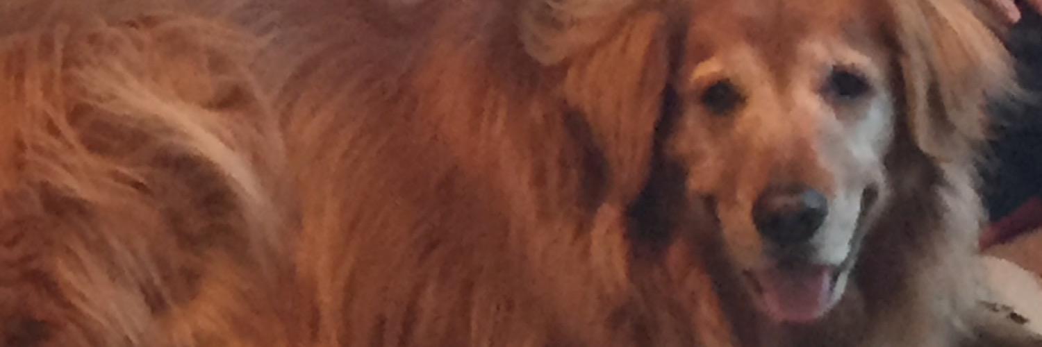 Wrigleys_Mom's profile banner image