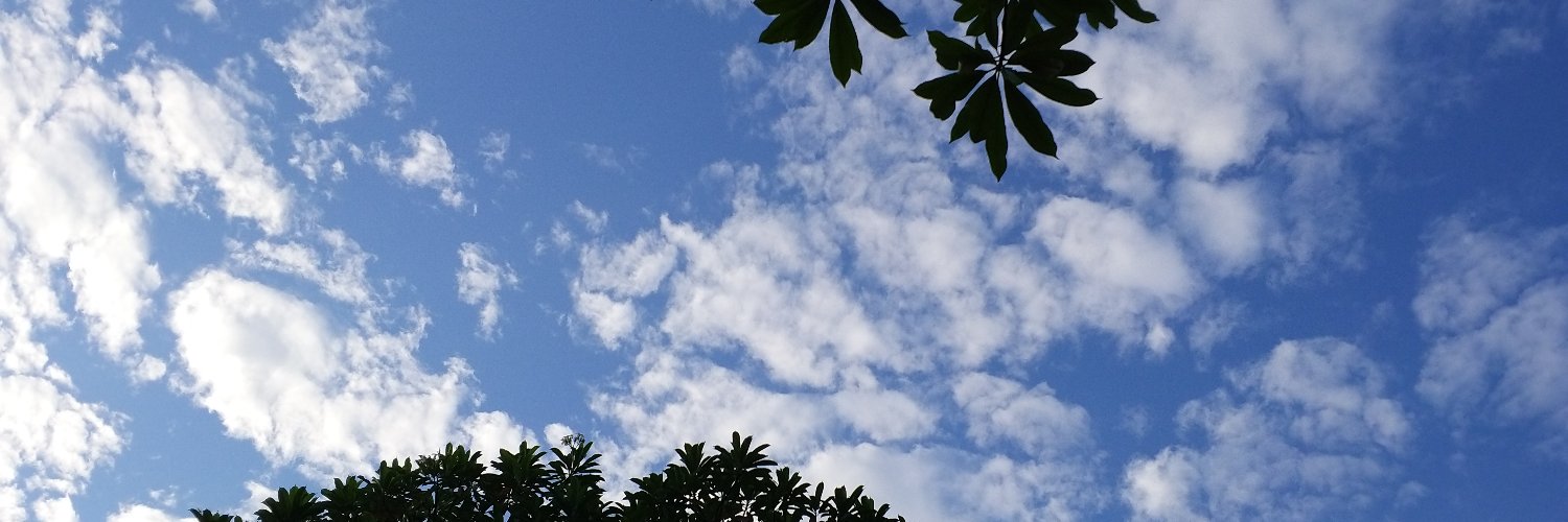 elvirapsari's profile banner image