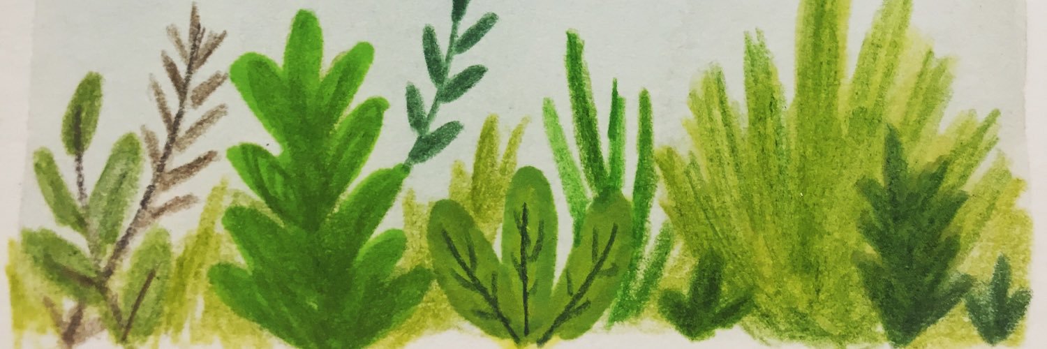 aozstudio's profile banner image