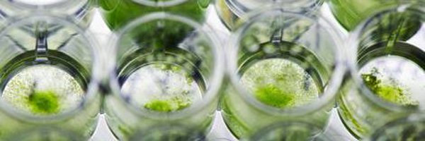 ATECalgae Profile Banner