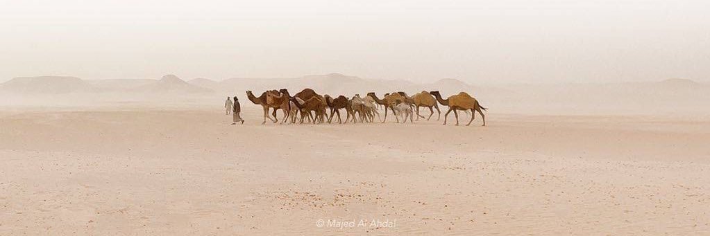 بروفيسور banner