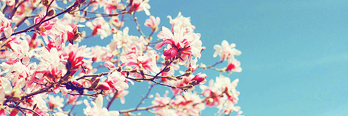 Luli_Vidal's profile banner image